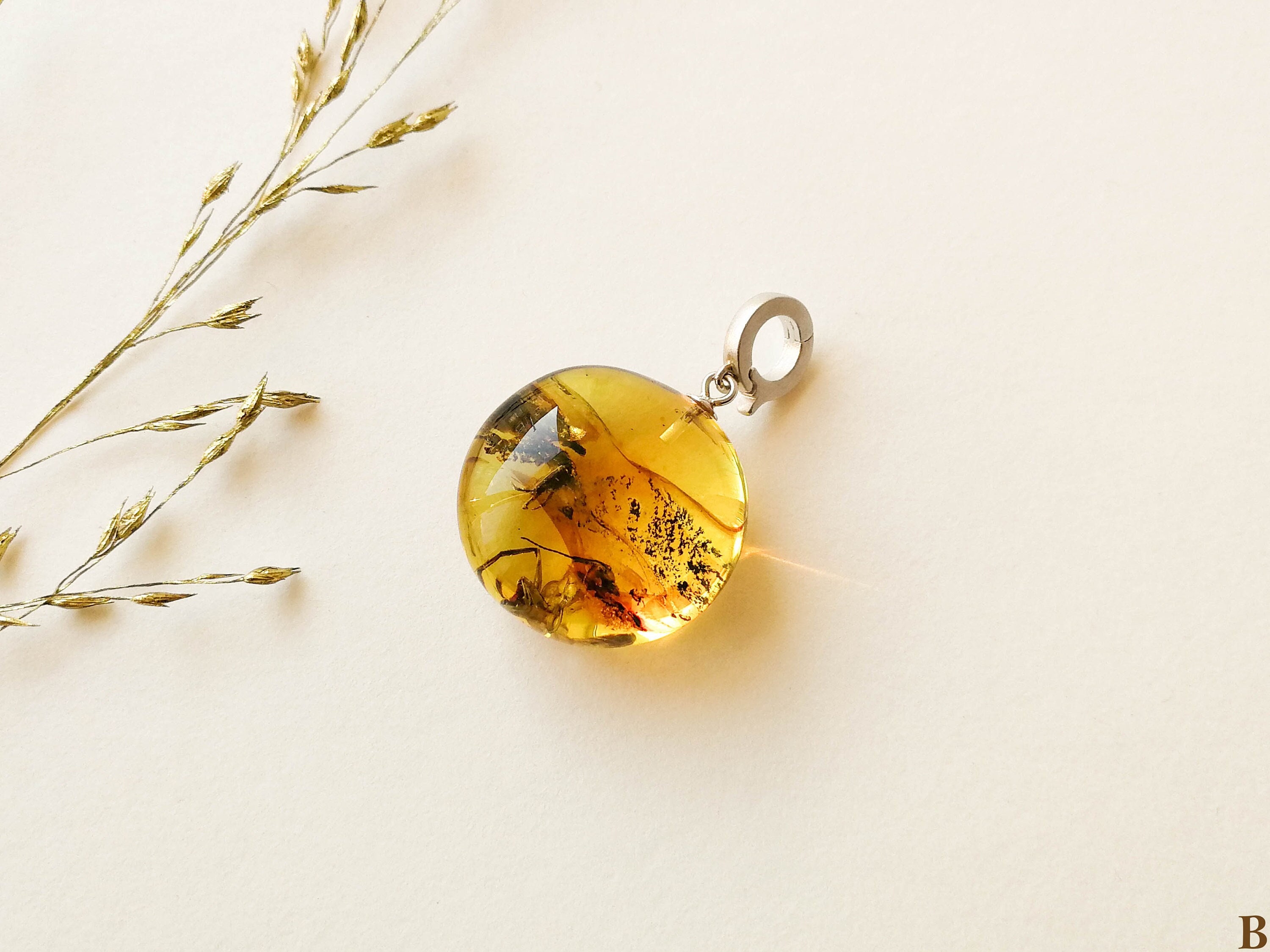 Small Coin-Shaped Amber Pendant with Unique Insects Inside, Large 