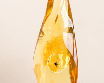 Clear and shiny golden amber stone decoration, Exclusive amber stone with insects souvenir, memento huge cognac gemstone spiritual gift home