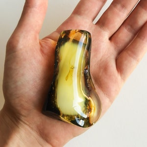May include: A large, irregular piece of amber with a yellow-green hue and a dark brown border. The amber is translucent and has a smooth, polished surface.