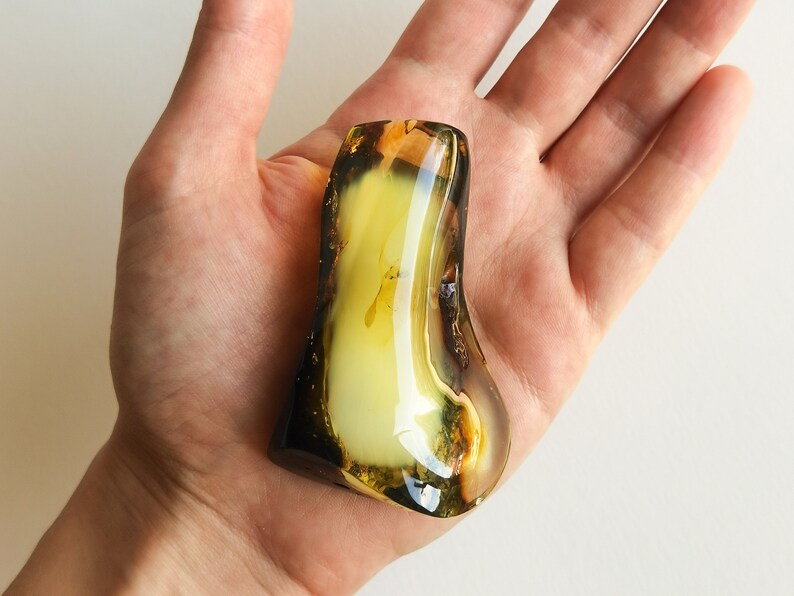 May include: A large, irregular piece of amber with a yellow-green hue and a dark brown border. The amber is translucent and has a smooth, polished surface.