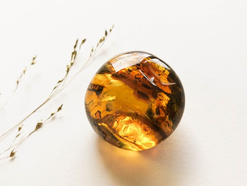 Dark round flat natural amber resin souvenir, home decor genuine amber gemstone, natural cognac color amber, amber stone memorabilia house image 3