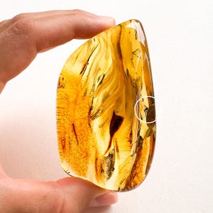 May include: A hand holds a piece of amber, a fossilised tree resin. The amber is a translucent, golden-yellow colour with dark inclusions and a visible insect. The surface has a textured appearance.