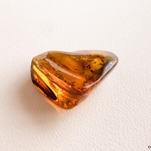 Unique structured amber for souvenir with 2 insects/ Clear golden cognac amber stone rectangle charm/ spiritual gemstone orange amber 100% image 6