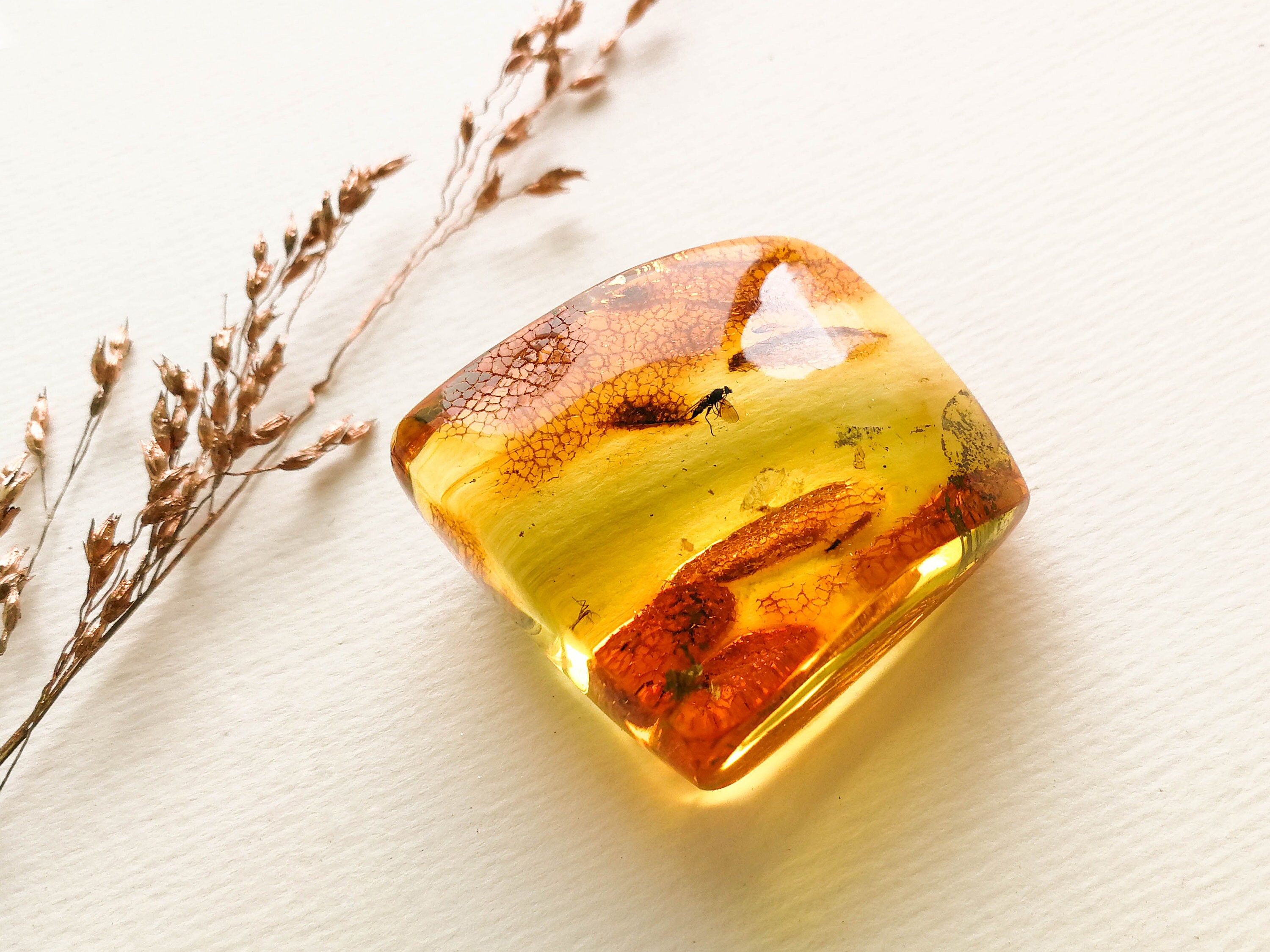 Orange Amber Stone With Insects, Large Thick Amber Resin Small