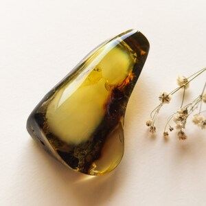May include: A large, irregularly shaped piece of amber with a greenish-brown exterior and a translucent, yellowish-white interior. The amber has a natural, organic shape and is smooth to the touch.
