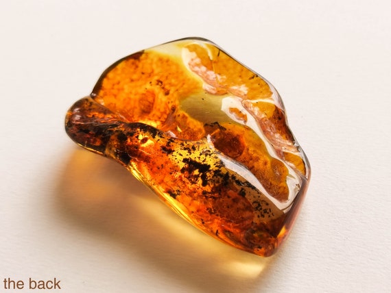 Orange Amber Stone With Insects, Large Thick Amber Resin Small