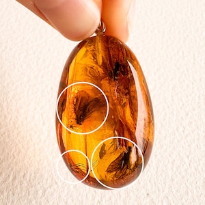 May include: An oval amber pendant, displaying a rich, golden-brown hue. The translucent stone contains preserved insects and organic elements. The pendant is held up, revealing its polished surface and natural inclusions, a unique piece of jewellery.