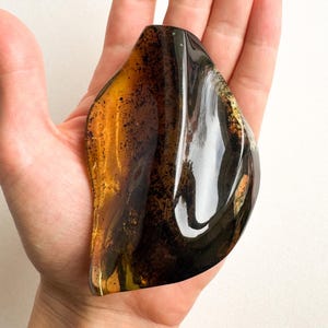 May include: A large, dark amber stone with a smooth, curved surface. The stone has a translucent quality, with hints of gold and brown throughout.