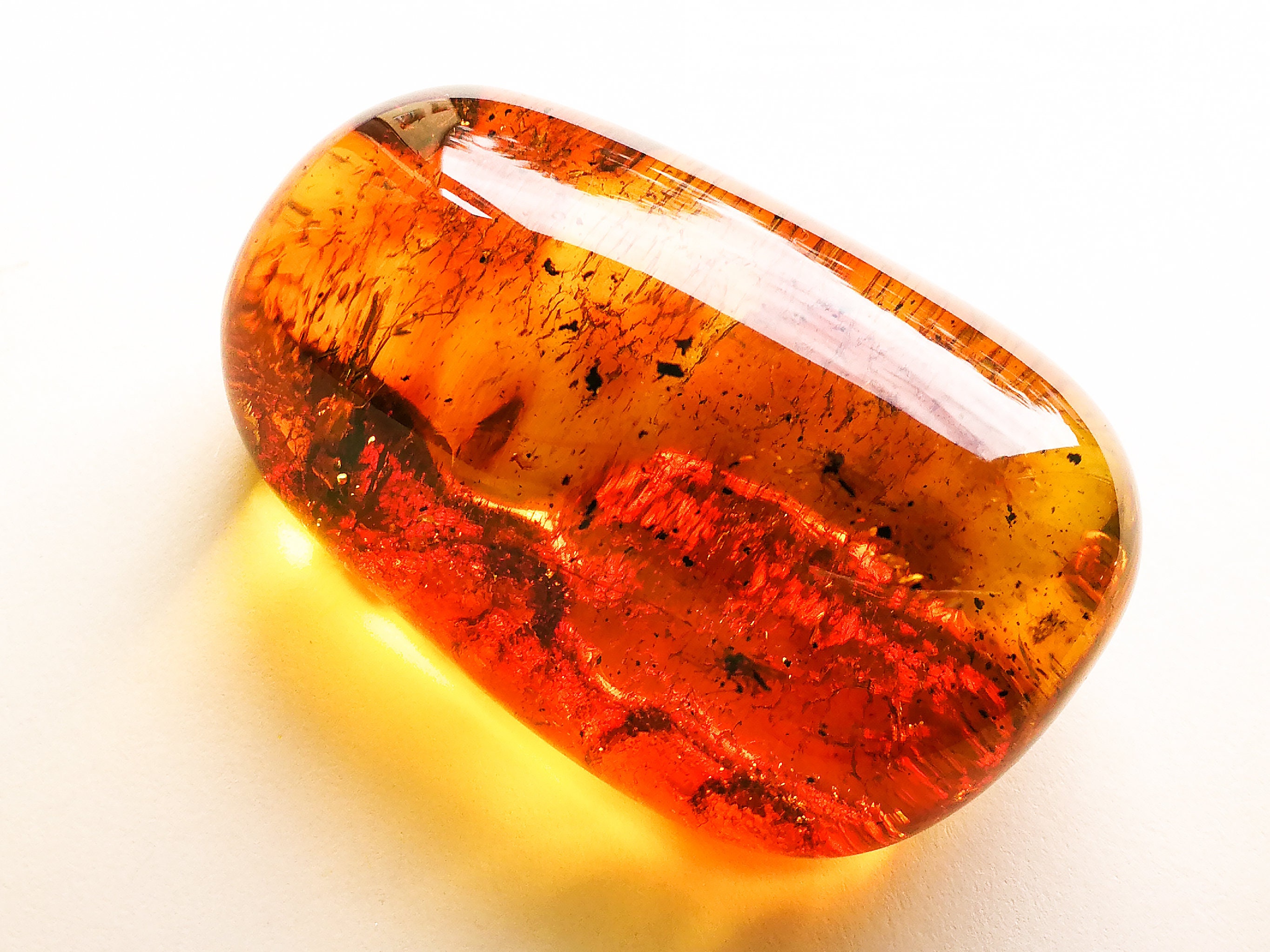 Clear Shiny Golden Amber Stone Insects Decoration Amber Etsy