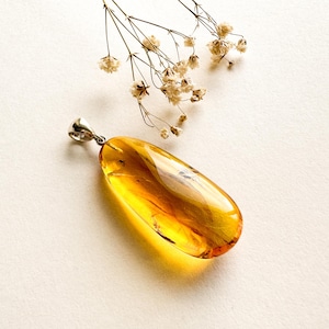 Beautiful 100% natural Baltic amber unique pendant insect, thick drop oval cognac amber pendant, citrus large mosquito inside summer piece