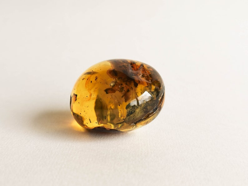 Dark round flat natural amber resin souvenir, home decor genuine amber gemstone, natural cognac color amber, amber stone memorabilia house image 7