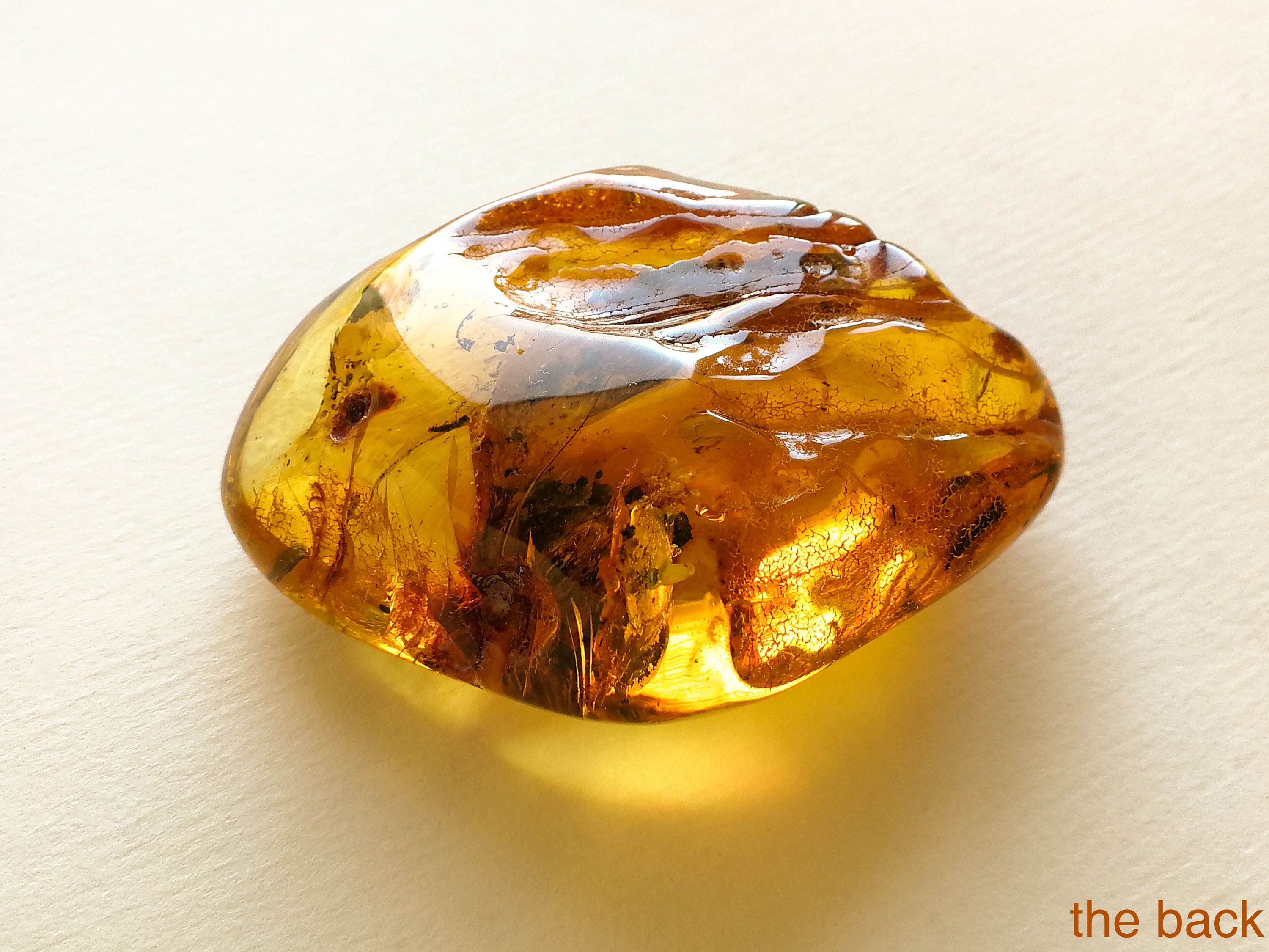 Golden Amber Resin – Rosalie Botanicals