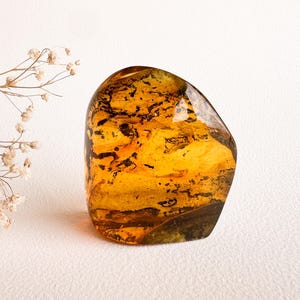 Unique structured amber for souvenir with 2 insects/ Clear golden cognac amber stone rectangle charm/ spiritual gemstone orange amber 100% image 3