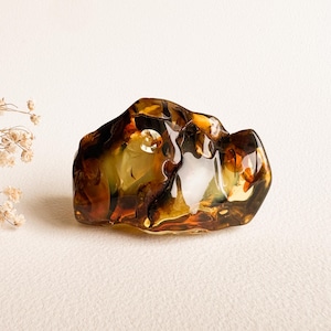 May include: A polished, irregular piece of translucent amber with deep golden, brown, and honey-coloured hues. The surface features smooth, undulating curves and internal inclusions that catch the light, creating a glossy, multi-dimensional appearance.