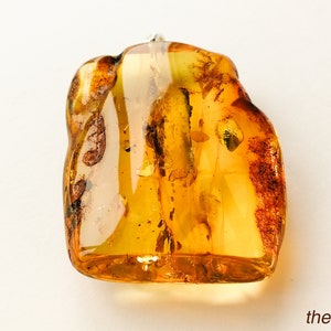 May include: A large, amber-colored pendant with a silver bail. The amber is translucent and has a variety of inclusions, including a small insect. The back of the pendant is smooth.