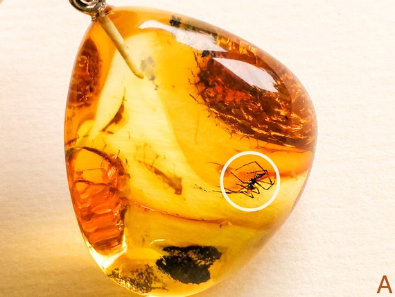 Small Amber Pendant With Insects Inside Unique High value Gift