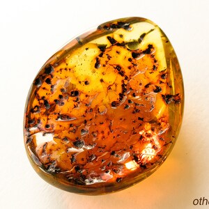 May include: A close-up of a large, oval-shaped piece of amber with a dark brown, almost black, inclusion. The amber is translucent and has a warm, golden color.