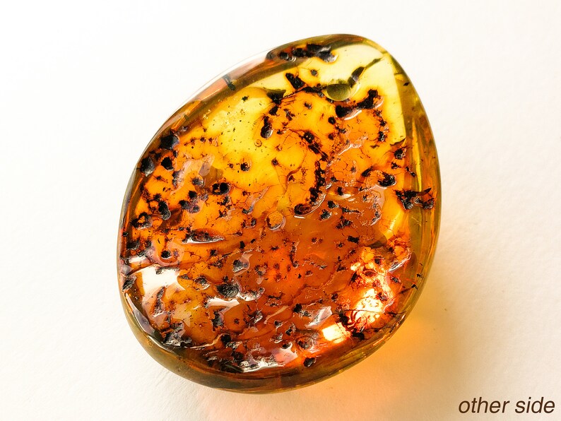 May include: A close-up of a large, oval-shaped piece of amber with a dark brown, almost black, inclusion. The amber is translucent and has a warm, golden color.