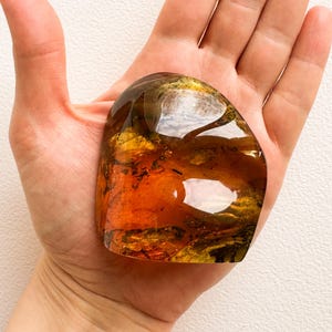 Unique structured amber for souvenir with 2 insects/ Clear golden cognac amber stone rectangle charm/ spiritual gemstone orange amber 100% image 2