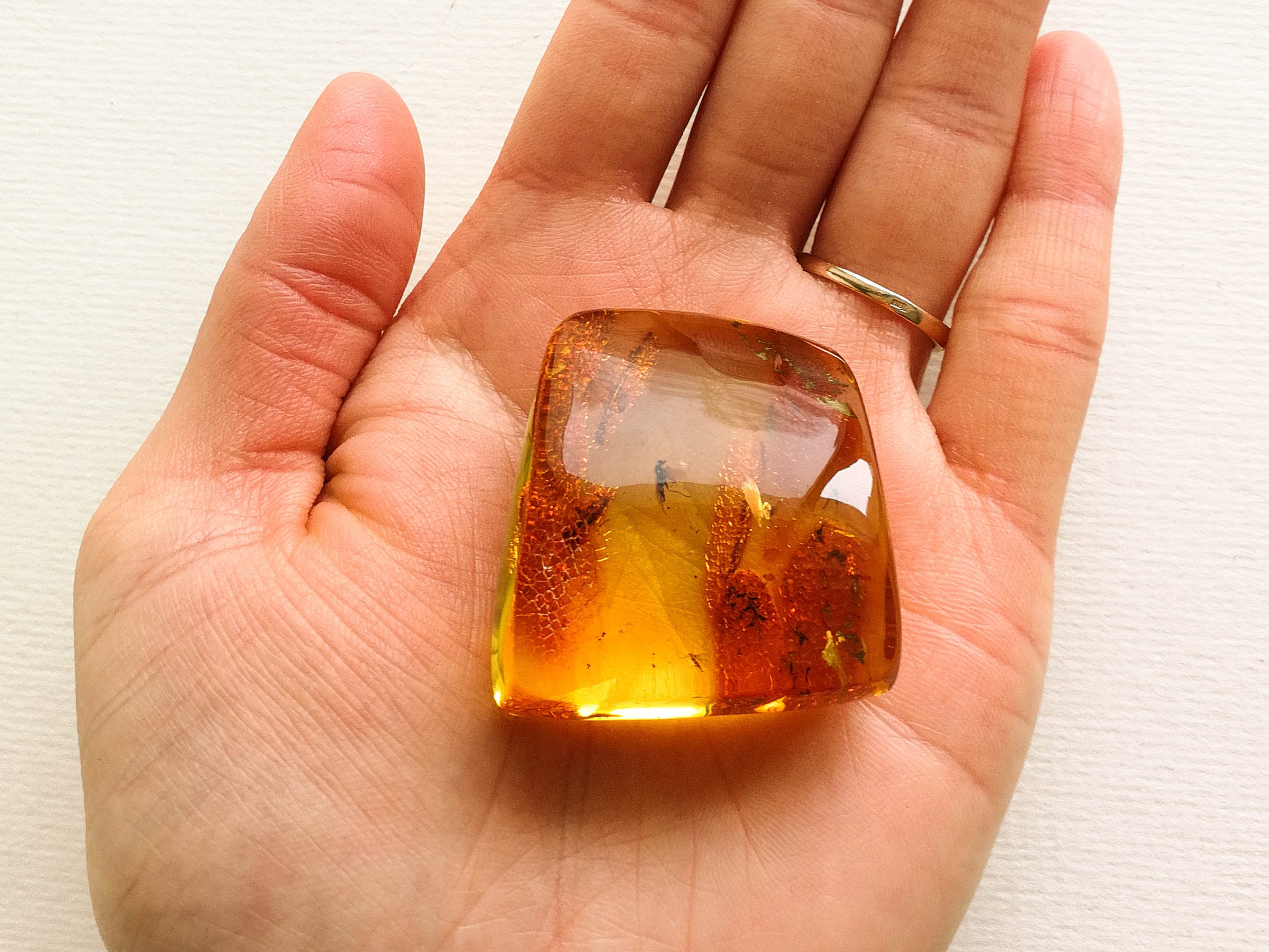 4Pcs Insect Specimen Amber Resin Insects Amber Resin Crafts Decorative Bug  Amber (Random Style)