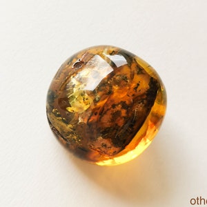 Dark round flat natural amber resin souvenir, home decor genuine amber gemstone, natural cognac color amber, amber stone memorabilia house image 6