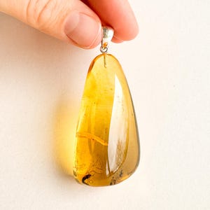 Amber pendant with fly inside, unique large pendant gift for man with insects, amber pendant with mosquitoes, raw amber with bits inclusions