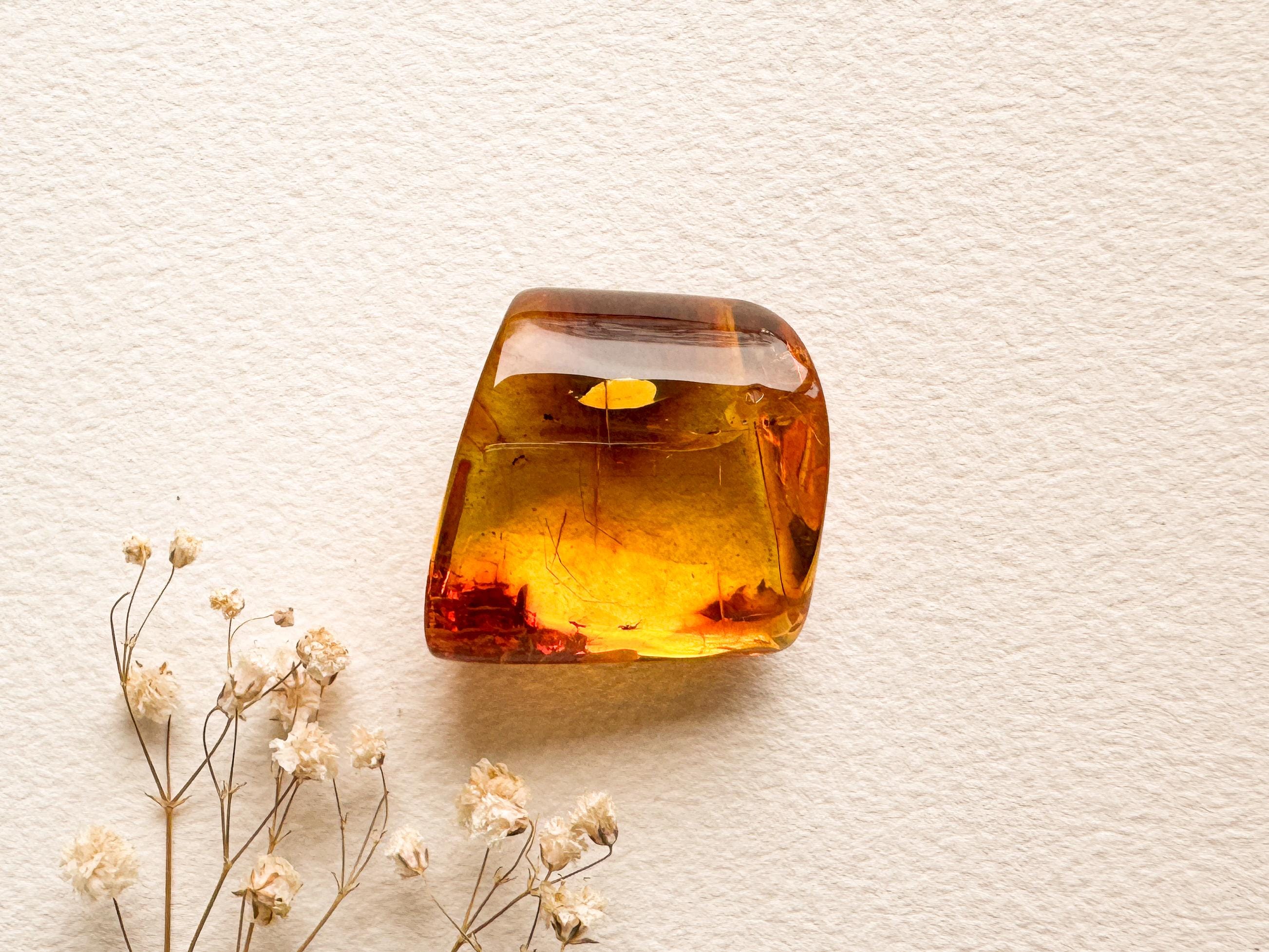Unique Structured Amber for Souvenir With an Insect/ Clear Dark