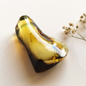May include: A large, irregular, yellow amber stone with a smooth, polished surface. The stone has a light yellow color with darker brown streaks and inclusions.