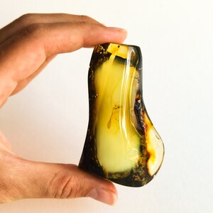 May include: A large, irregularly shaped piece of amber with a yellow and brown color. The amber has a smooth, polished surface and contains a small insect trapped inside.