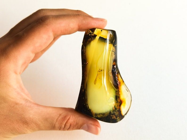 May include: A large, irregularly shaped piece of amber with a yellow and brown color. The amber has a smooth, polished surface and contains a small insect trapped inside.