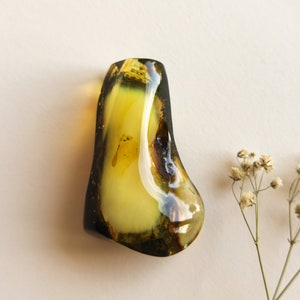 May include: A large, irregular piece of amber with a yellow-green hue and a dark brown border. The amber has a smooth, polished surface and contains a small insect trapped inside.
