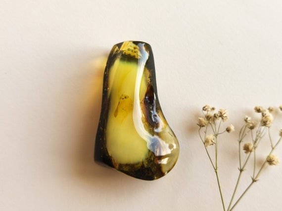 48 grams natural Baltic amber dark cognac souvenir stone, Original tall drop shape home decor gemstone, large amber stone memorabilia house