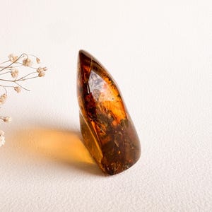 Unique structured amber for souvenir with 2 insects/ Clear golden cognac amber stone rectangle charm/ spiritual gemstone orange amber 100% image 4