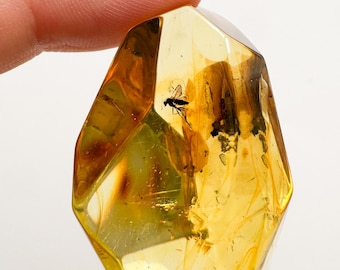 Clear & shiny golden amber stone insects decoration, amber faceted bits souvenir, memento small stone, cognac color crystal gift spiritual