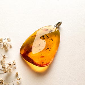 Petit pendentif rond jaune clair en ambre véritable avec des insectes, résine ambrée avec des morceaux à l&#39;intérieur, pendentif moustique en ambre, ambre avec argent unisexe