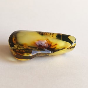 May include: A yellow amber stone with a small insect trapped inside. The stone is smooth and polished, with a dark brown border.