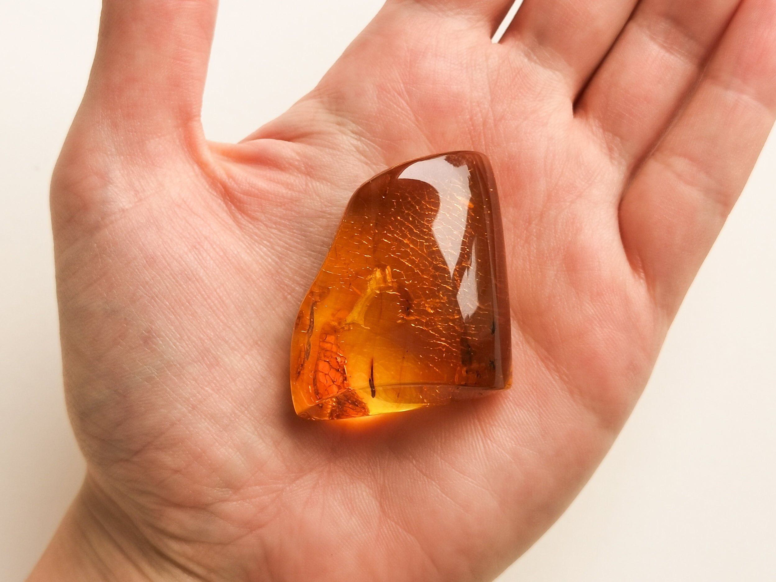 Orange Amber Stone With Insects, Large Thick Amber Resin