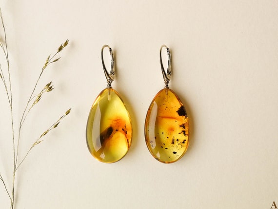 Sterling Silverr Amber Round Donut Earrings Sterling Silverr Amber Round Donut Earrings