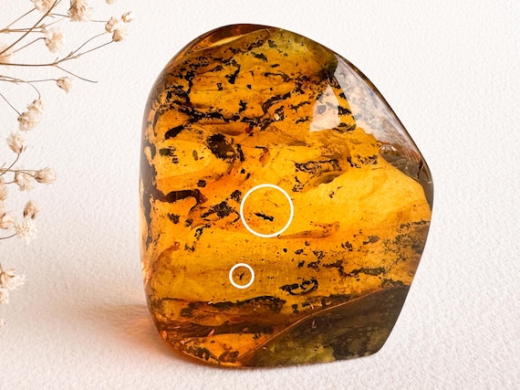 Unique structured amber for souvenir with 2 insects/ Clear golden cognac amber stone rectangle charm/ spiritual gemstone orange amber 100%