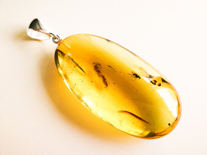 Light yellow shops oval genuine amber pendant with insects, amber resin with bits inside, amber mosquito pendant, amber with silver lemon color