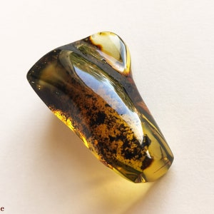 May include: A large, irregularly shaped piece of amber with a dark brown and green color. The amber has a smooth, polished surface and contains small black inclusions.