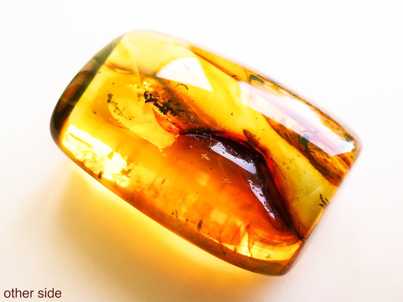 10 Stück Harz Insekten Bernstein - Echte Insekten In Kunstharz - DIY Schmuck & Sammlerstücke