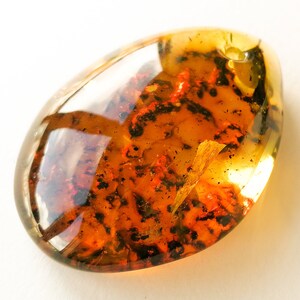 May include: A teardrop-shaped amber pendant with inclusions of insects and plant matter. The amber is a warm, honey color and is translucent.