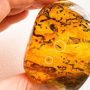 Unique structured amber for souvenir with 2 insects/ Clear golden cognac amber stone rectangle charm/ spiritual gemstone orange amber 100% image 5