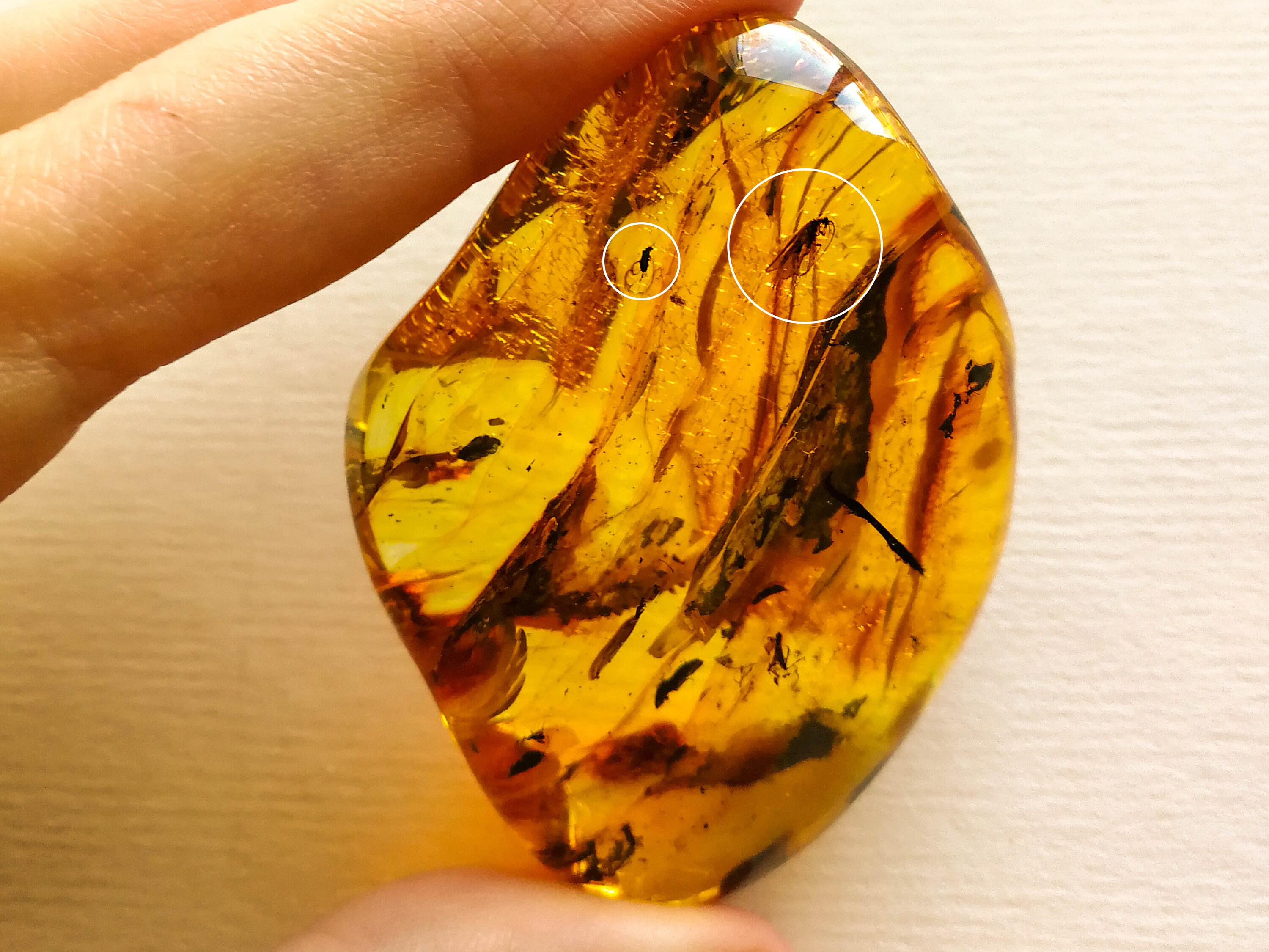 Orange Amber Stone With Insects, Large Thick Amber Resin Small Bits  Souvenir, Spiritual Light Yellow Amber Decoration Inclusions Gift Idea 