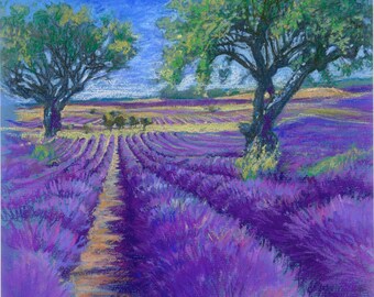 Giclee Print Lavendelvelden