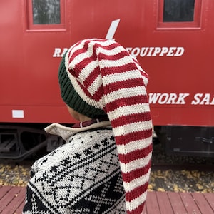 May include: A long, knitted stocking cap featuring horizontal red and white stripes, a dark green ribbed brim, and a dark green pom-pom at the tip. The cap is worn over a black and white patterned knit sweater with a geometric design.