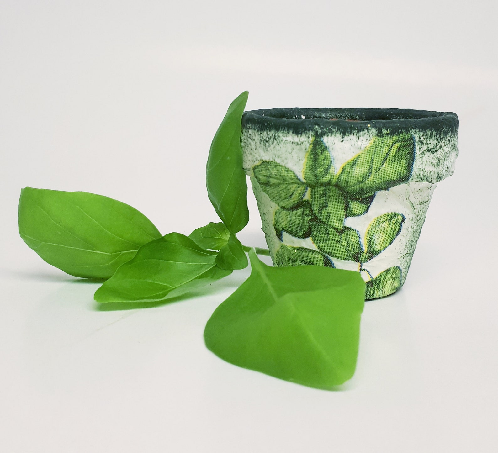 Tiny Herb Planter Herb Clay Pot Set of 5 Pcs Green Garden Etsy