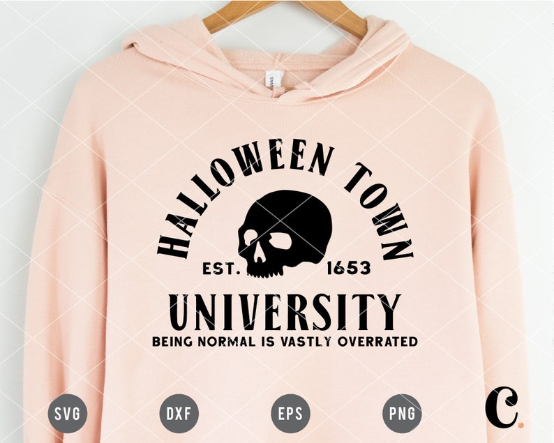 May include: A pink hoodie with a black graphic design that says "Halloween Town University Est. 1653" with a skull graphic and the text "Being normal is vastly overrated".