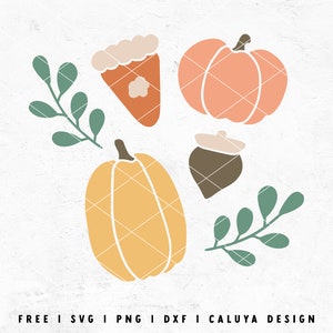 Fall Pumpkin SVG | Pumpkin Pie SVG | Fall Libbey Can Wrap SVG | Acorn svg | Thanksgiving Cup Wrap svg | free svg Cricut, Cameo Silhouette image 1